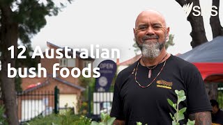 12 Australian bushfoods you may not know about | SBS Food