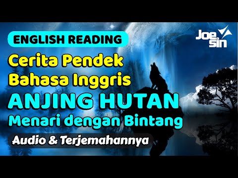 Video: Menari dengan Bintang Canine