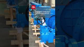 DYQ340H／F DN800 PN10 Horizontal Shaft Top-Entry Eccentric Hemisphere Valve-YIZHONG