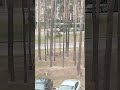 Едет автобус