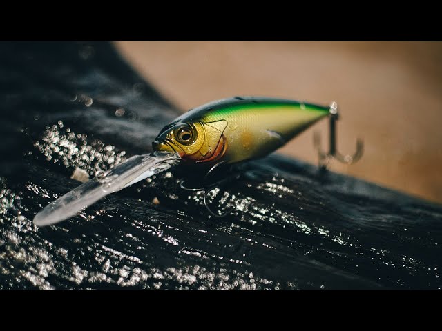 Targeting Suspended Bass with the Megabass Deep-Six Crankbait