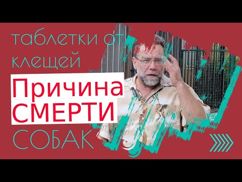 СМЕРТЕЛЬНО ОПАСНЫЕ ТАБЛЕТКИ ОТ КЛЕЩЕЙ | как и чем уберечь собак от клещей