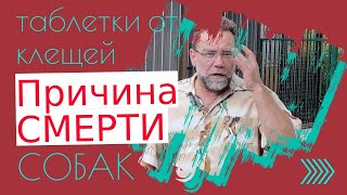 видео: СМЕРТЕЛЬНО ОПАСНЫЕ ТАБЛЕТКИ ОТ КЛЕЩЕЙ | как и чем уберечь собак от клещей картинка: СМЕРТЕЛЬНО ОПАСНЫЕ ТАБЛЕТКИ ОТ КЛЕЩЕЙ | как и чем уберечь собак от клещей