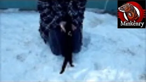 Ruby first free run