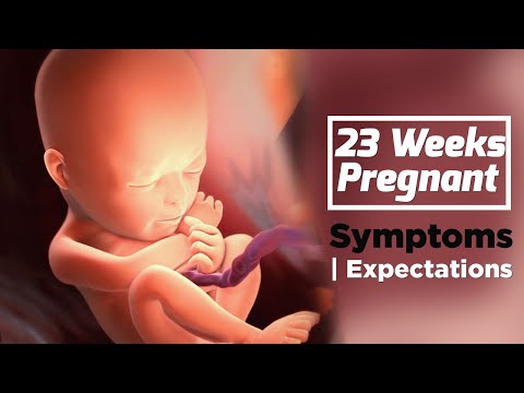 Video: 23 Weeks Pregnant - What's Going On? Fetal Development, Sensations, Ultrasound