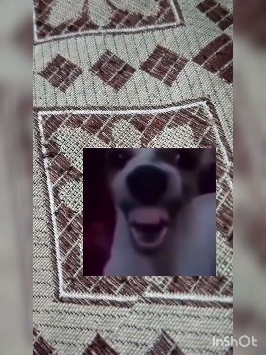tggii