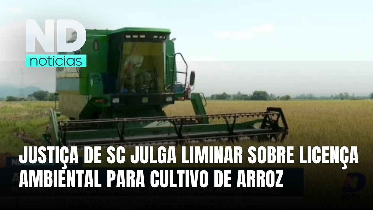 Produção de arroz em SC pode ser afetada por decisão sobre licença ambiental