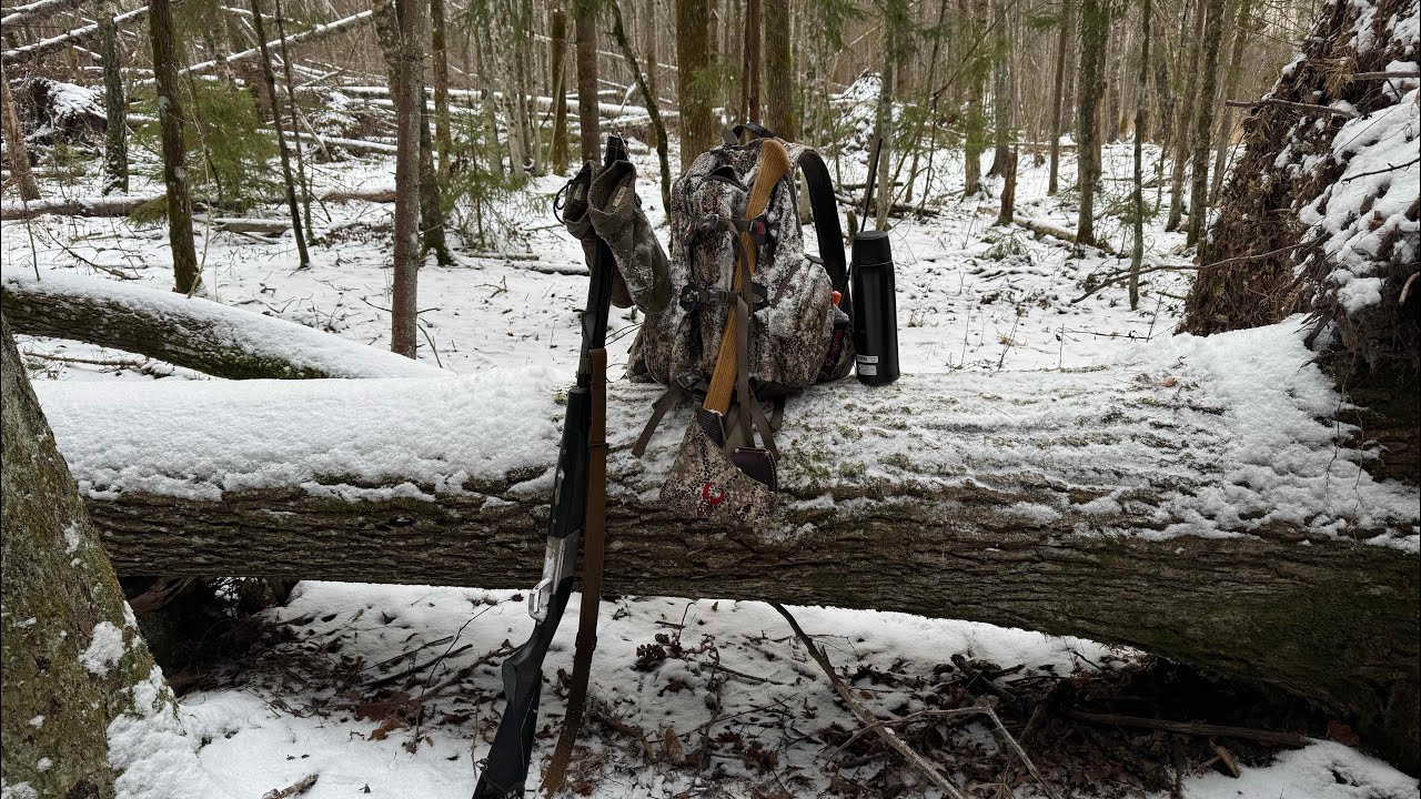 Поиск. Как поставить поиск у лайки. Белые лайки. Зверовые линии откуда.