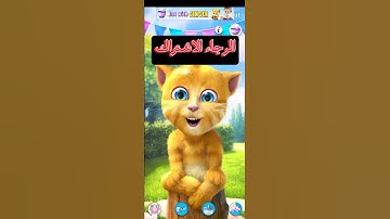 سورة عبس