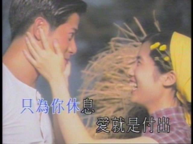 信鴿 - Love Dove