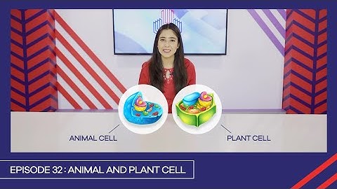 Learn with PGC | Smart Learning EP 32 | Animal and Plant Cell