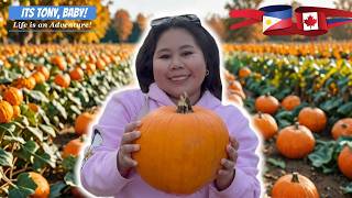 🎃 HALLOWEEN Thrills!! FILIPINA Experiences First Pumpkin Patch at Maan Farms