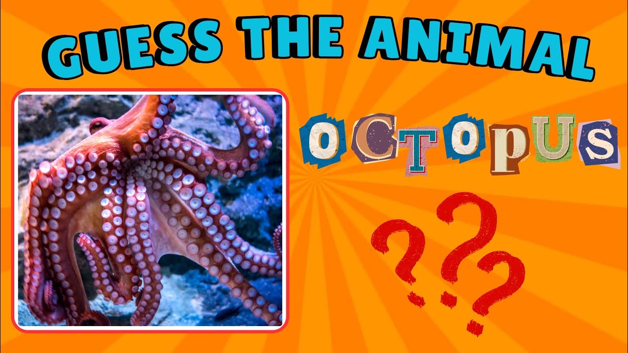 GUESS THE ANIMAL QUIZ | KUIS TEBAK NAMA HEWAN BAHASA INGGRIS