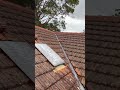 Repointing terracotta roofing today serving all Sydney suburbs #roof #roofing #pressureclean
