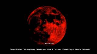 What Is Your Experience About Moon Carnel Studios