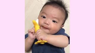 赤ちゃんがバナナの歯固めをひたすらカミカミ。生後3ヶ月 Baby  Tooth firming toy　3 months after birth