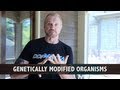 DDP Recommends GMO A GOGO - DDPtv