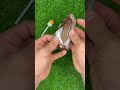 Satisfying Rice ASMR 😍