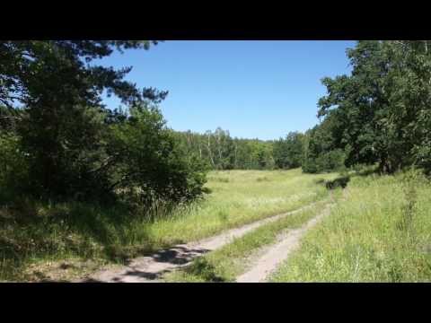 Артюшкино, Лето (Июнь, 2011)