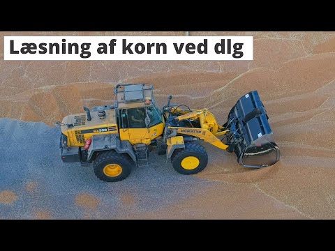 Læsning af korn ved DLG | Loading moving grain at DLG