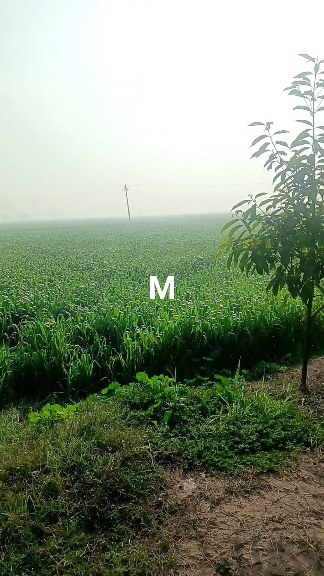 💖ਦਿਲ ਦੀਆਂ ਗੱਲਾਂ💖 - ShareChat