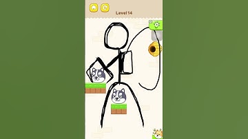 Save the dog Level 14