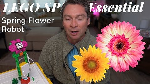 LEGO SPIKE Build a Sun-Seeking Robot Flower! | Light-Tracking Robotics Challenge