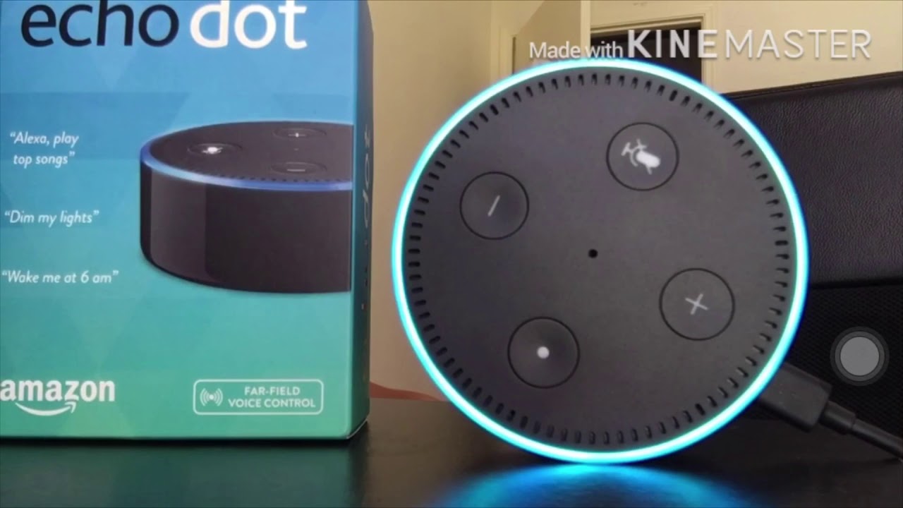 Asking funny questions to alexa ( echo dot)