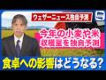 今年の小麦や米の収穫量を独自予測 食卓への影響はどうなる?