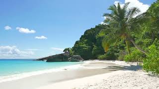 Aesthetic Tropical Beach Background/Backdrop | 5 Hour Loop | Relaxing and Calming to Look At