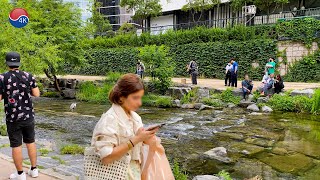 Unbelievable CHEONGGYECHEON Scenery, Can't you believe it's an Artificial Stream? 4K Seoul Travel.