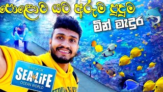 පොළොව යට හදපු  මින් මැදුර / Sea Life Ocean Would Apuarium🐬🐠