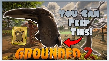 How to Peep the Crow In Grounded 2!