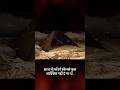 Navigation system of Pyramids #modernscience #facts #hiddenhistory #pyramid #scienceandengineering