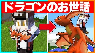 リアルなドラゴンを育てられるマインクラフトが最高すぎた！！【ゆっくり実況】【マイクラ / Minecraft】【まいくら】