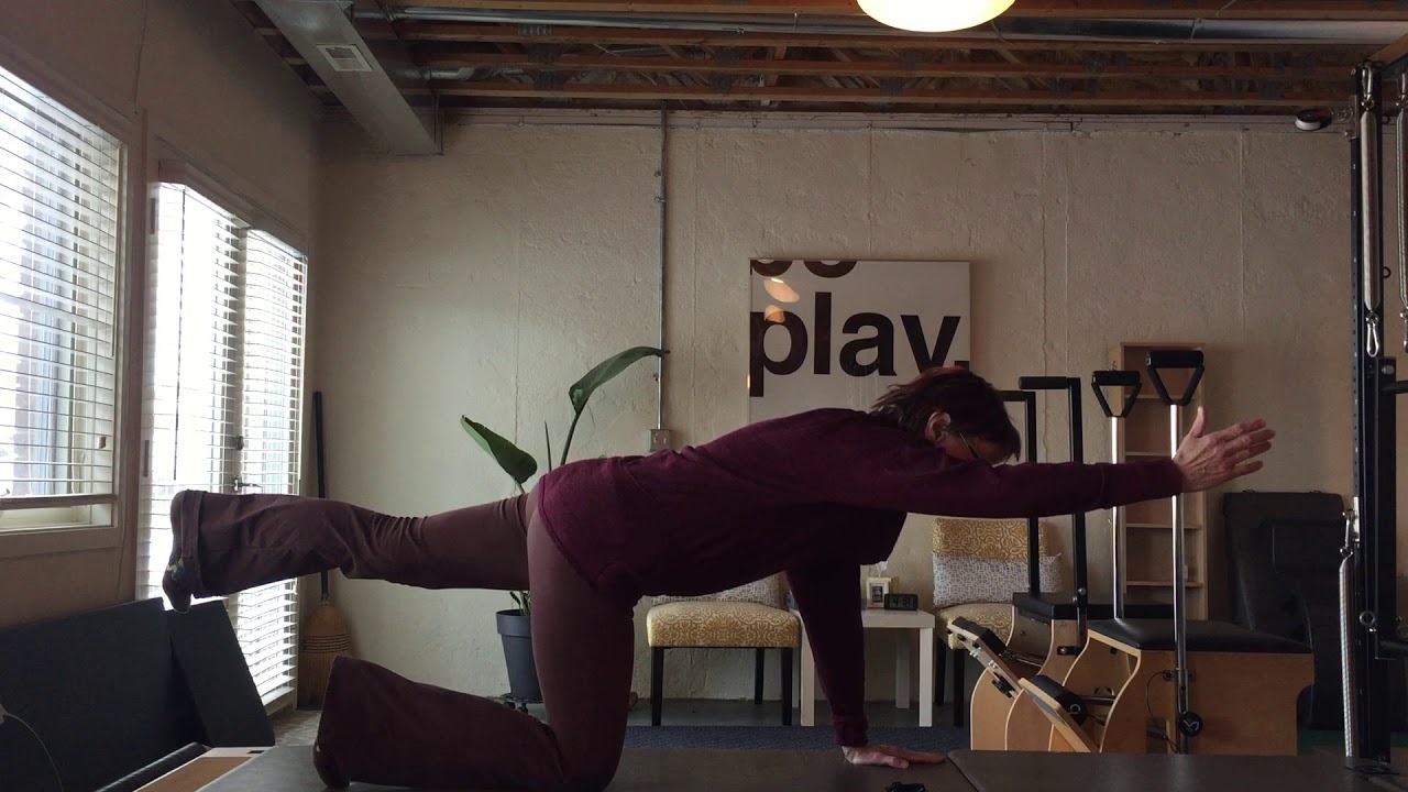 BIRD DOG 5 ELBOW 2 KNEE YouTube