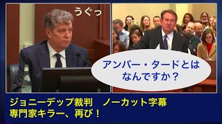 デップ裁判19日目 - ロン・シュネル 2/2 (SNS分析ー専門家）