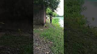 tired life #subornamustafa #humayunfaridi #shortsvideo #personallife #viralmusic #personalvlog