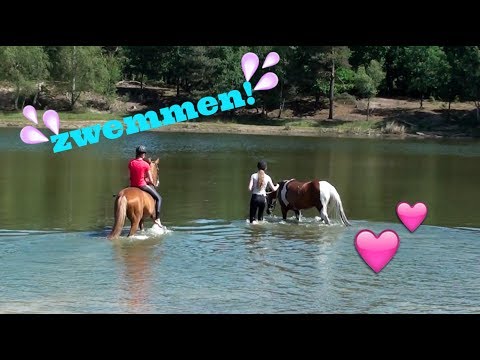 Buitenritvlog 8 |  Zwemmen met de paardjes + val! | Just Horse Friends