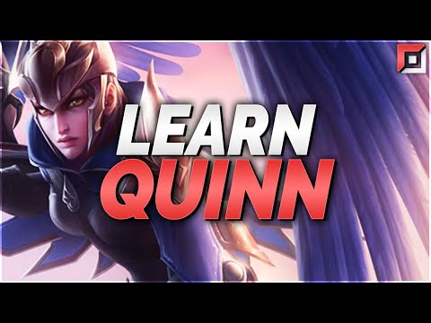 The ONLY Quinn Guide You Need