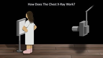How to Interpret a Chest X Ray Lesson 1   An Introduction