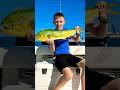 Mahi Mahi #fishing #familygetaway #fish #boating #dolphin #dorado #saltlife
