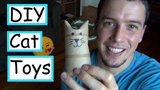 5 DIY Cat Toys  | EASY + CHEAP