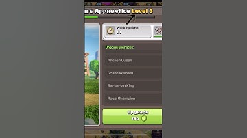 SHOULD YOU UPGRADE THE APPRENTICE BUILDER?