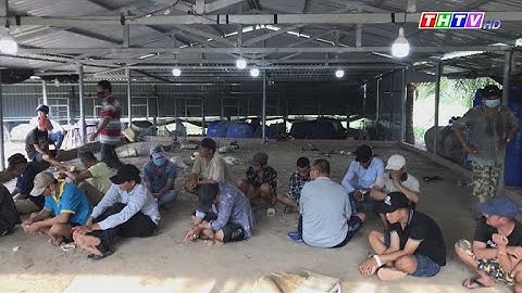 Bắt quả tang 15 đối tượng đá gà ăn thua bằng tiền ở Tiền Giang |Trà Vinh hôm nay 16/4/2021|
