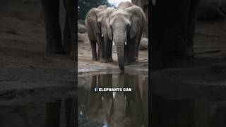 10 Surprising Facts About Animals You Didn’t Learn in School!"