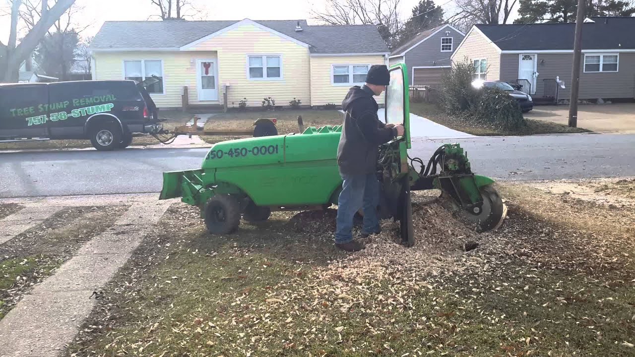 best way to remove a tree stump - YouTube