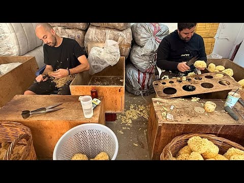 Κάλυμνος: Η παράδοση των σφουγγαράδων περνά στις νέες γενιές και ταξιδεύει παγκοσμίως – Video Κάλυμνος: Η παράδοση των σφουγγαράδων περνά στις νέες γενιές και ταξιδεύει παγκοσμίως – Video