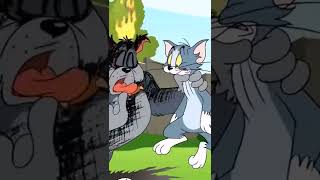 Spiketom N Jerry
