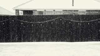 Snow Falling &amp; The Fence